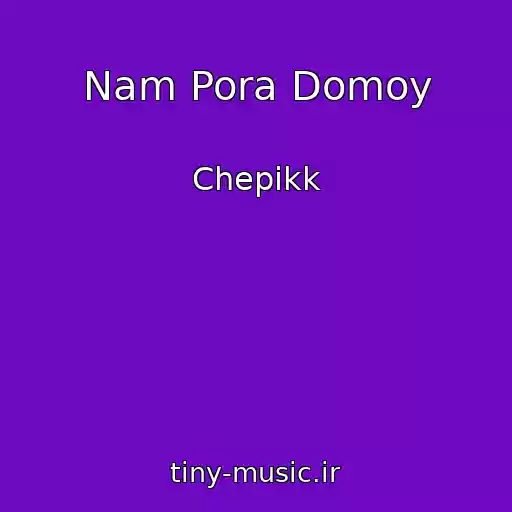 کاور آهنگ Nam Pora Domoy از Chepikk