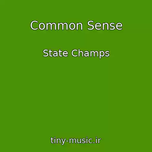 کاور آهنگ Common Sense از State Champs