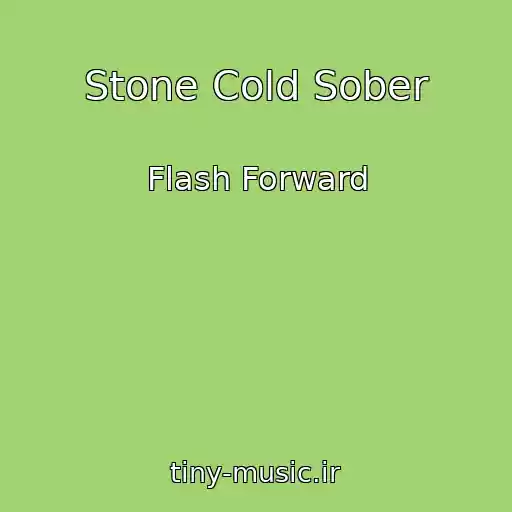 کاور آهنگ Stone Cold Sober از Flash Forward