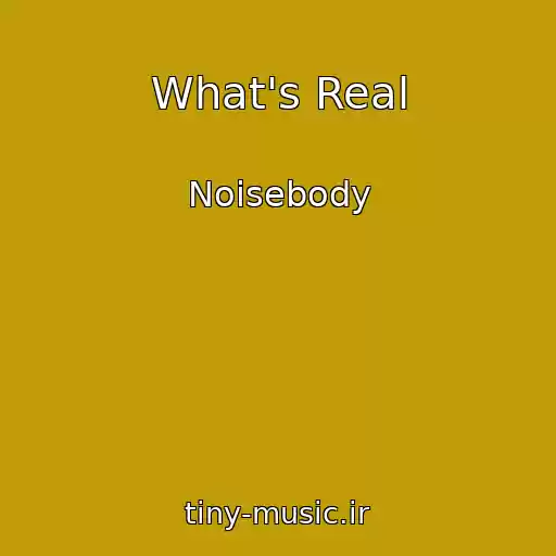 کاور آهنگ What's Real از Noisebody