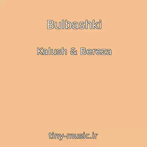 کاور آهنگ Bulbashki از Kalush & Bereza