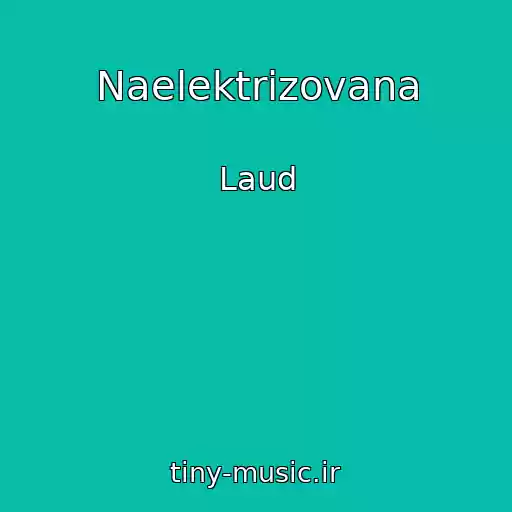 کاور آهنگ Naelektrizovana از Laud