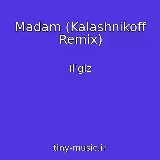 کاور آهنگ Madam (Kalashnikoff Remix) از Il'giz