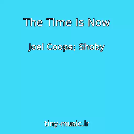 کاور آهنگ The Time Is Now از Joel Coopa; Shoby