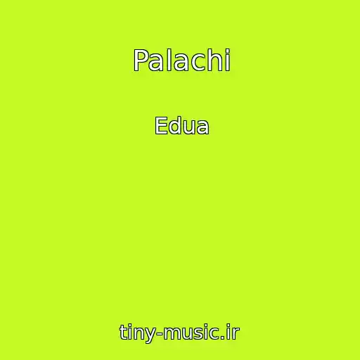 کاور آهنگ Palachi از Edua