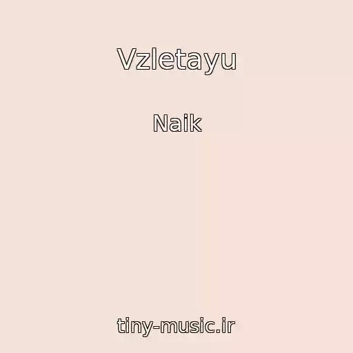کاور آهنگ Vzletayu از Naik
