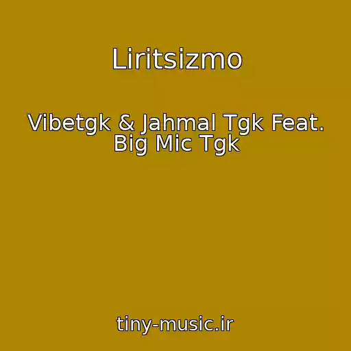 کاور آهنگ Liritsizmo از Vibetgk & Jahmal Tgk Feat. Big Mic Tgk