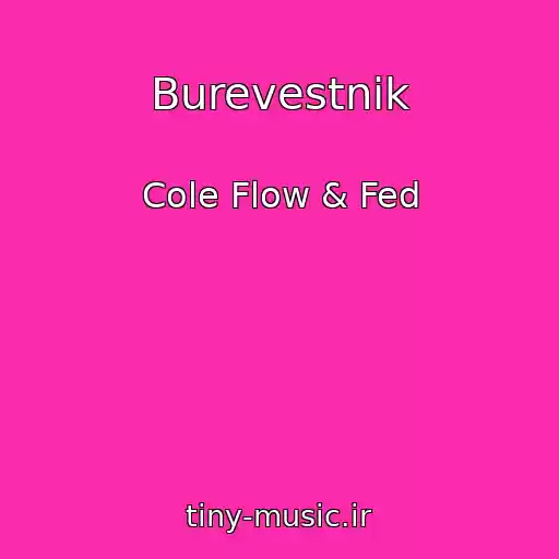 کاور آهنگ Burevestnik از Cole Flow & Fed