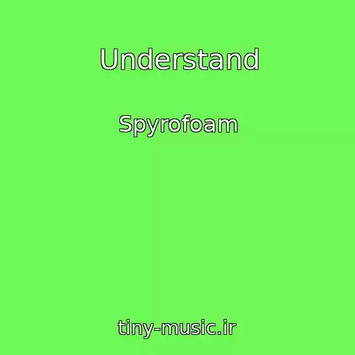 کاور آهنگ Understand از Spyrofoam