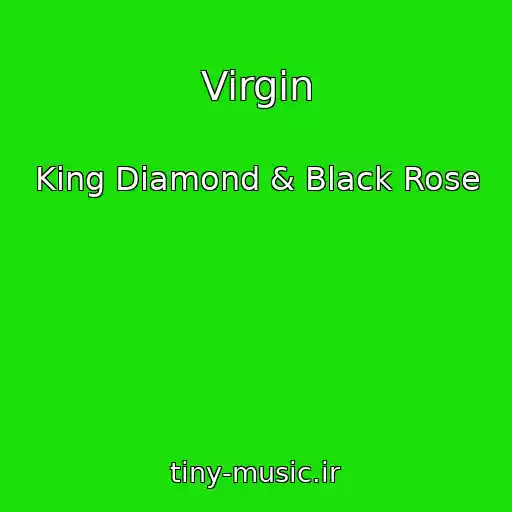 کاور آهنگ Virgin از King Diamond & Black Rose