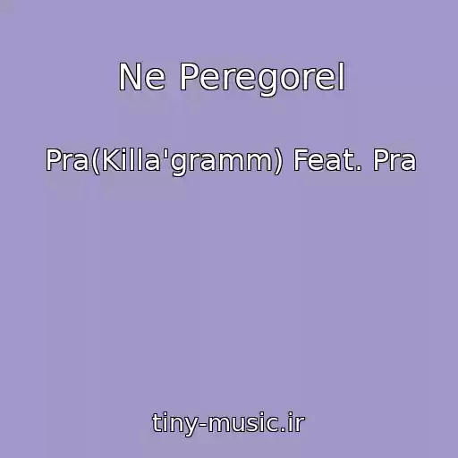کاور آهنگ Ne Peregorel از Pra(Killa'gramm) Feat. Pra