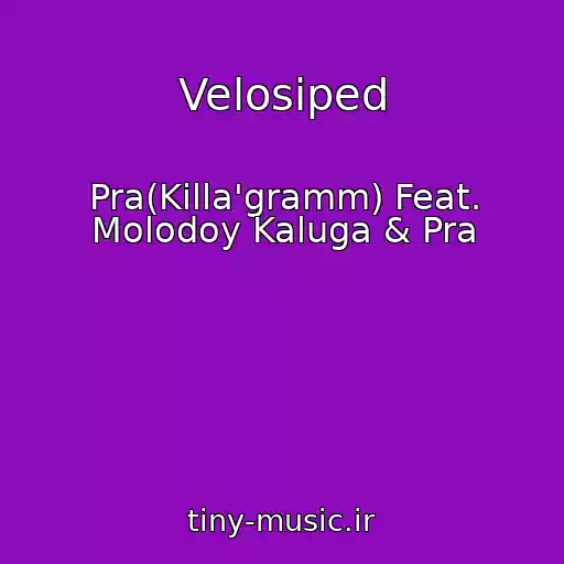 کاور آهنگ Velosiped از Pra(Killa'gramm) Feat. Molodoy Kaluga & Pra