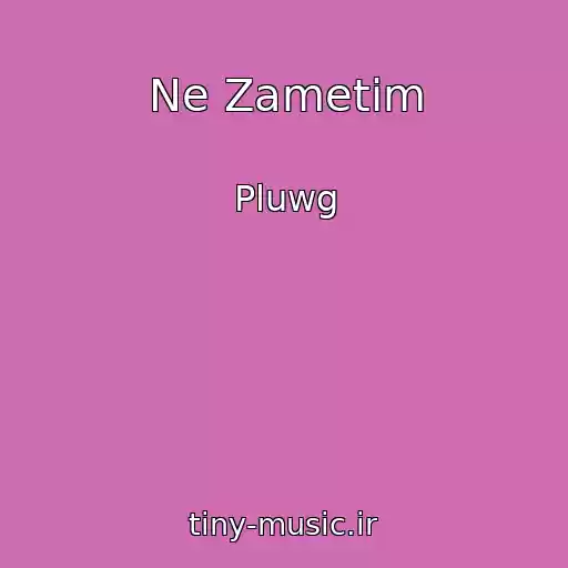کاور آهنگ Ne Zametim از Pluwg