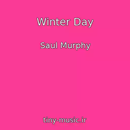 کاور آهنگ Winter Day از Saul Murphy
