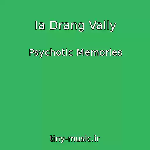 کاور آهنگ Ia Drang Vally از Psychotic Memories