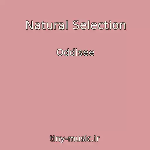 کاور آهنگ Natural Selection از Oddisee