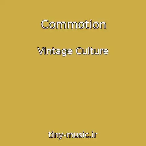 کاور آهنگ Commotion از Vintage Culture