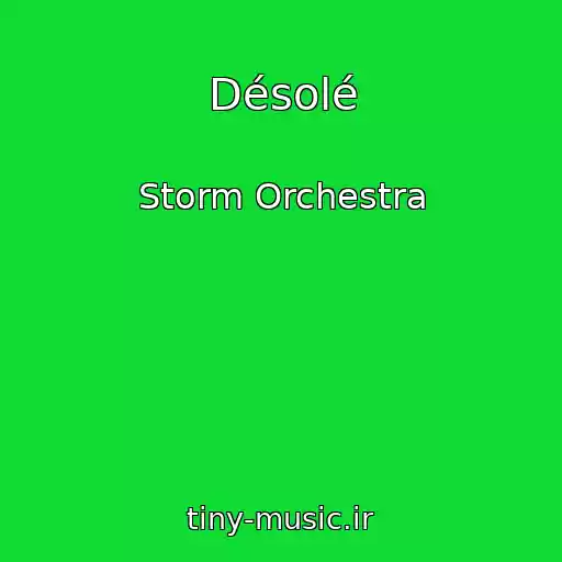کاور آهنگ Désolé از Storm Orchestra