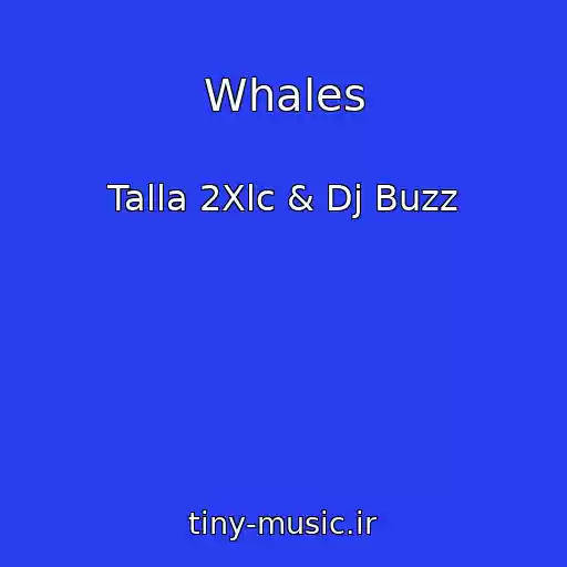 کاور آهنگ Whales از Talla 2Xlc & Dj Buzz