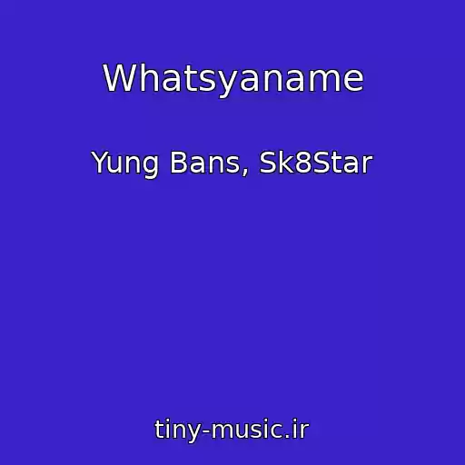 کاور آهنگ Whatsyaname از Yung Bans, Sk8Star