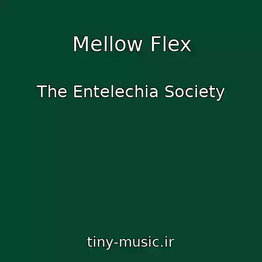 کاور آهنگ Mellow Flex از The Entelechia Society