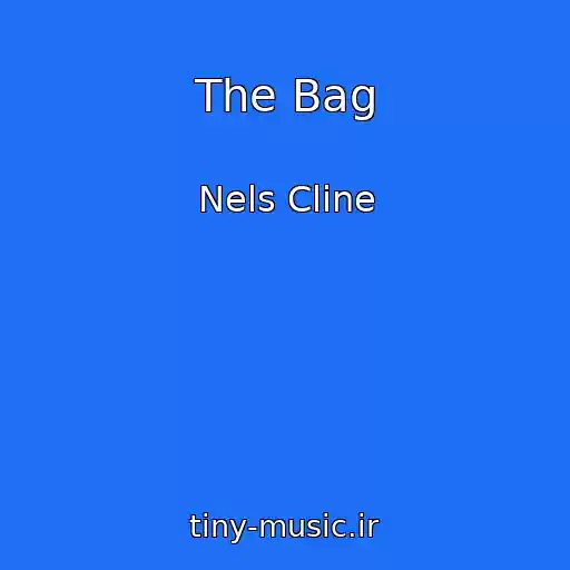 کاور آهنگ The Bag از Nels Cline