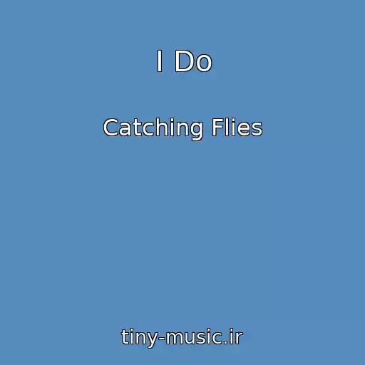 کاور آهنگ I Do از Catching Flies