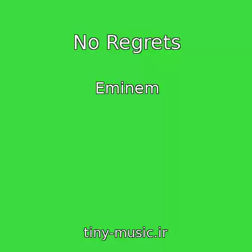 کاور آهنگ No Regrets از Eminem