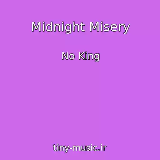 کاور آهنگ Midnight Misery از No King
