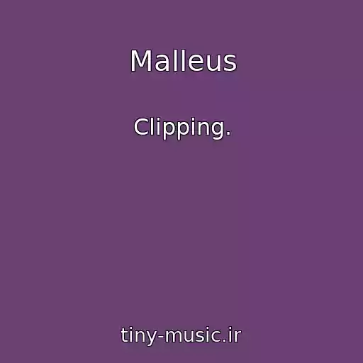 کاور آهنگ Malleus از Clipping.