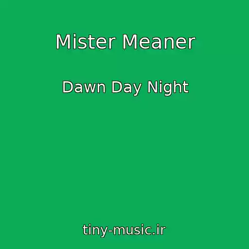 کاور آهنگ Mister Meaner از Dawn Day Night