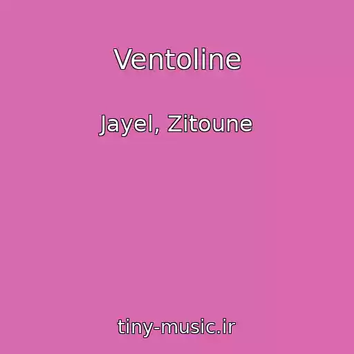 کاور آهنگ Ventoline از Jayel, Zitoune
