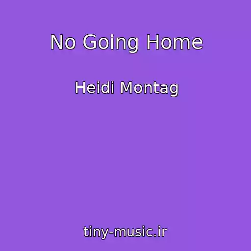 کاور آهنگ No Going Home از Heidi Montag