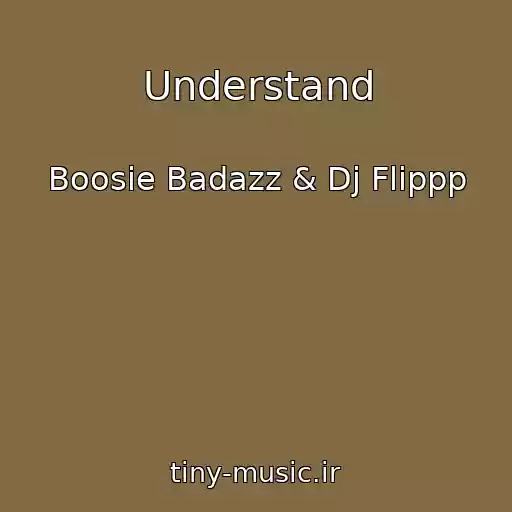 کاور آهنگ Understand از Boosie Badazz & Dj Flippp