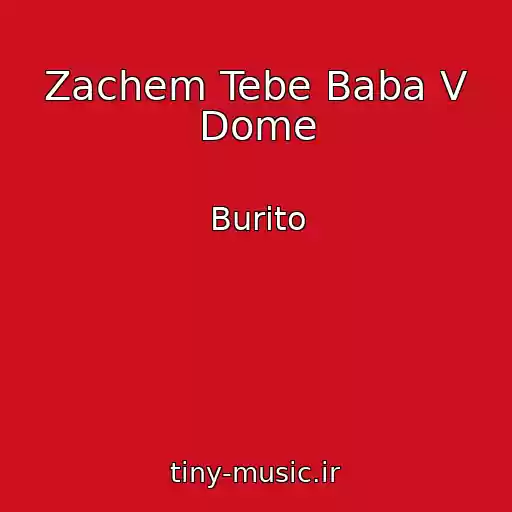 کاور آهنگ Zachem Tebe Baba V Dome از Burito