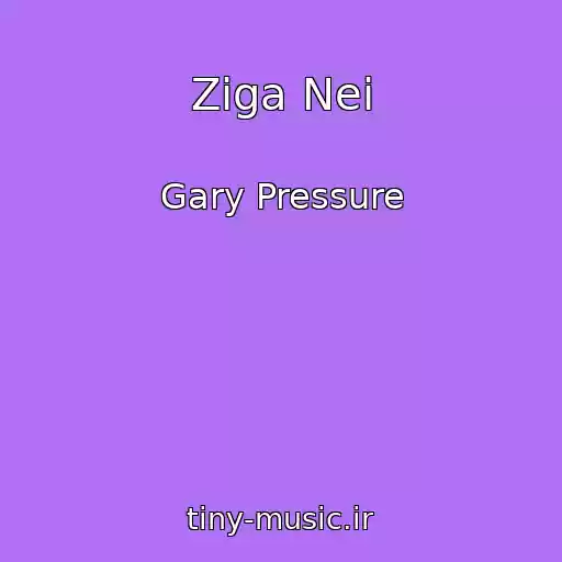 کاور آهنگ Ziga Nei از Gary Pressure