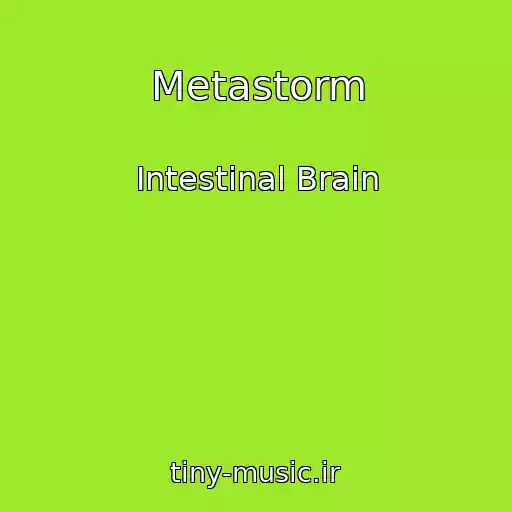 کاور آهنگ Metastorm از Intestinal Brain