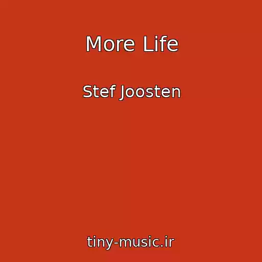 کاور آهنگ More Life از Stef Joosten