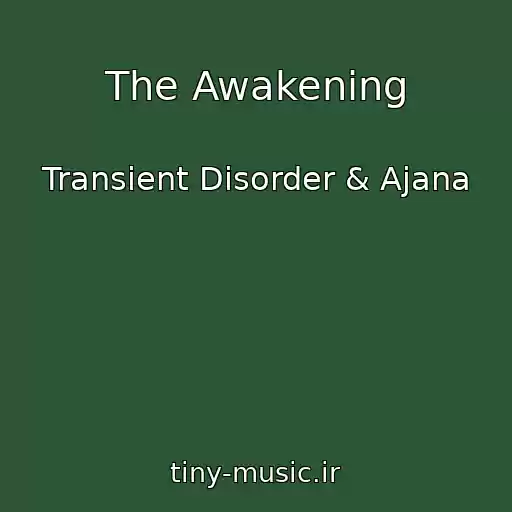 کاور آهنگ The Awakening از Transient Disorder & Ajana