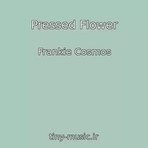 کاور آهنگ Pressed Flower از Frankie Cosmos
