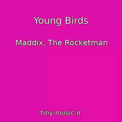 کاور آهنگ Young Birds از Maddix, The Rocketman