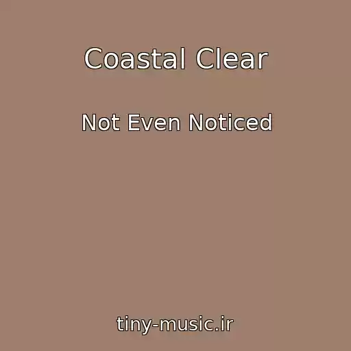 کاور آهنگ Coastal Clear از Not Even Noticed