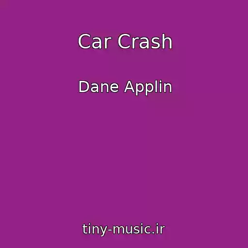 کاور آهنگ Car Crash از Dane Applin
