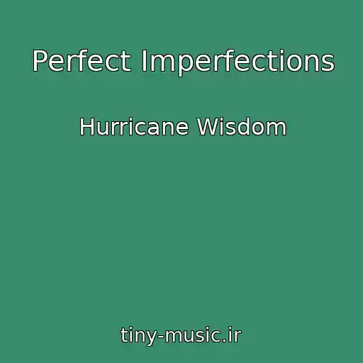 کاور آهنگ Perfect Imperfections از Hurricane Wisdom