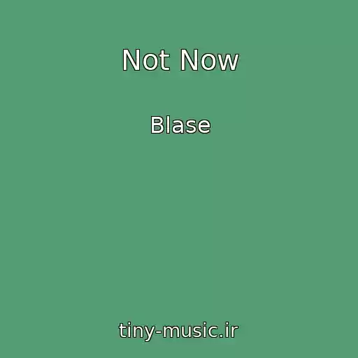 کاور آهنگ Not Now از Blase