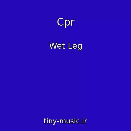 کاور آهنگ Cpr از Wet Leg