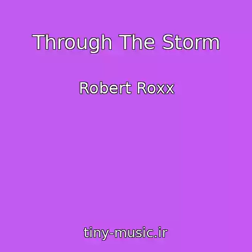 کاور آهنگ Through The Storm از Robert Roxx