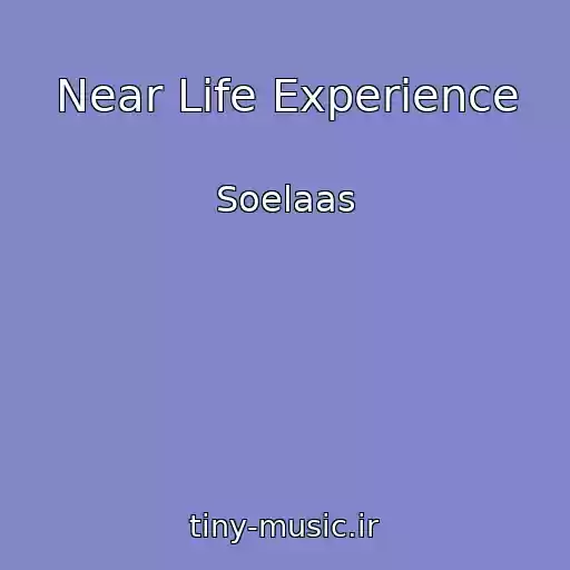 کاور آهنگ Near Life Experience از Soelaas