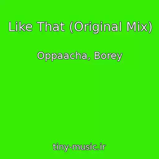 کاور آهنگ Like That (Original Mix) از Oppaacha, Borey