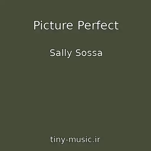 کاور آهنگ Picture Perfect از Sally Sossa